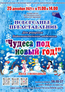 Новогоднее представление «Чудеса под Новый год» 25.12.21 14:00
