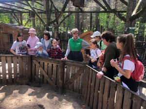 Было организовано бесплатное посещение Ульяновского зоопарка